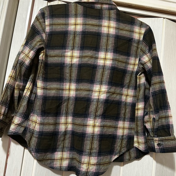 Fennel - Picture 3 of 3